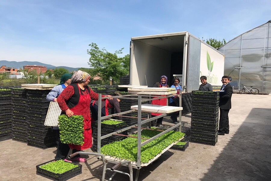 Çaycuma'da İstihdam Teşvikleri Bilgilendirme Ziyareti Gerçekleştirdik haber kapak görseli