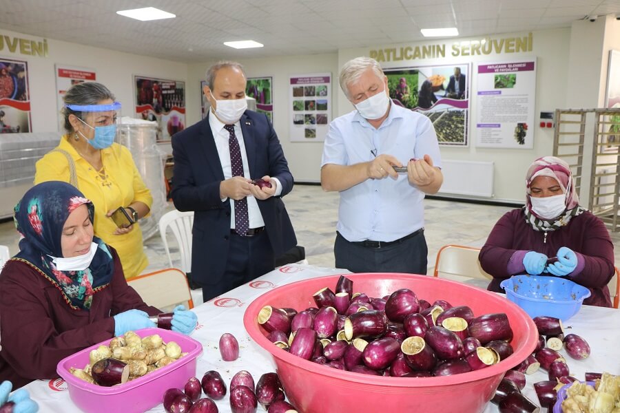 Gaziantep İl Müdürlüğümüz Ev Hanımlarına İş İmkanı Sunuyor haber kapak görseli