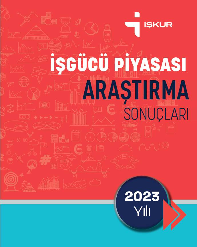 İnfografiklerle İşgücü Piyasası Araştırması